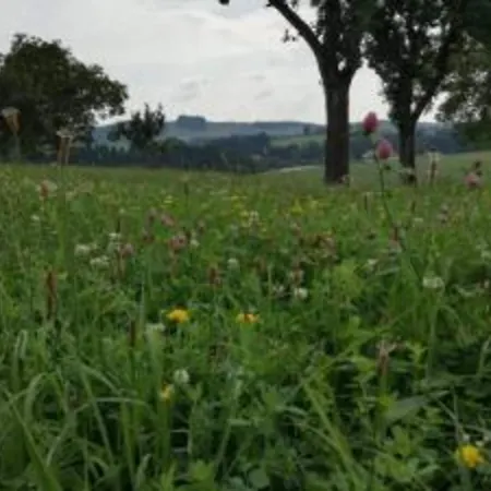 Quiet Near Trails Tatil Evi