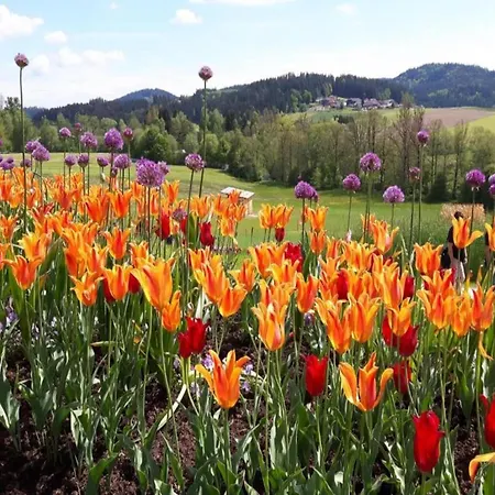 Σπίτι διακοπών Ruhiges Ferienhaus In Der Naehe Von Wanderwegen Altenfeld (Thuringia)