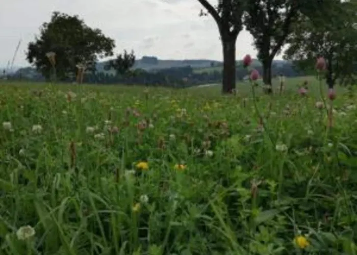 Quiet Near Trails Σπίτι διακοπών