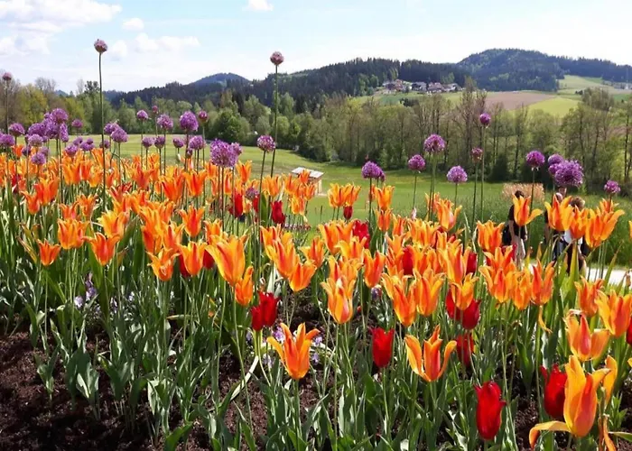 Tatil Evi Quiet Near Trails Altenfeld (Thuringia)